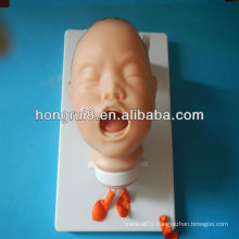 Neonate Head for trachea Intubation intubation medical model